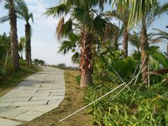 -瑶湖郊野森林公园