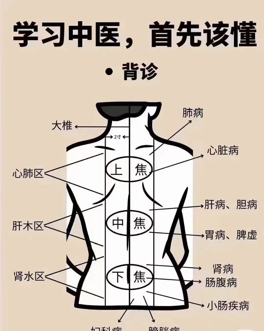 立了秋该养肺,就得多做背