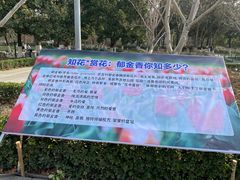 -袁大头包子(光华路店)