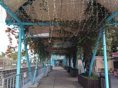 -厦门园林博览苑