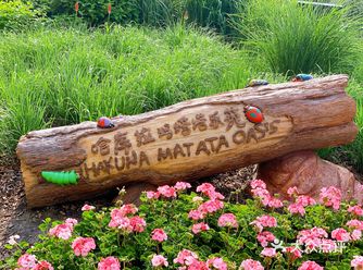 大清早在花园里感觉周围自带Circle of