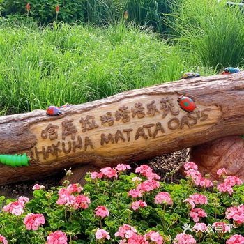 大清早在花园里感觉周围自带Circle of