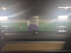 -赛卡联盟卡丁车馆(上海世博店)