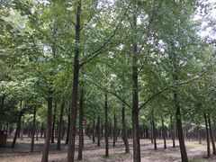 -汉景帝阳陵博物院