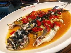 -丹江渔村(望京店)