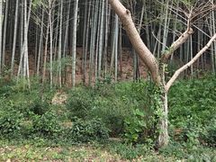 -九龙潭景区
