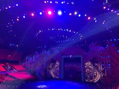 -珠海横琴长隆《卡卡虎奇遇记》