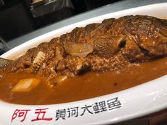 -阿五黄河大鲤鱼(英协路店)