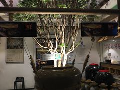 -酸喜·三度酸·贵州味