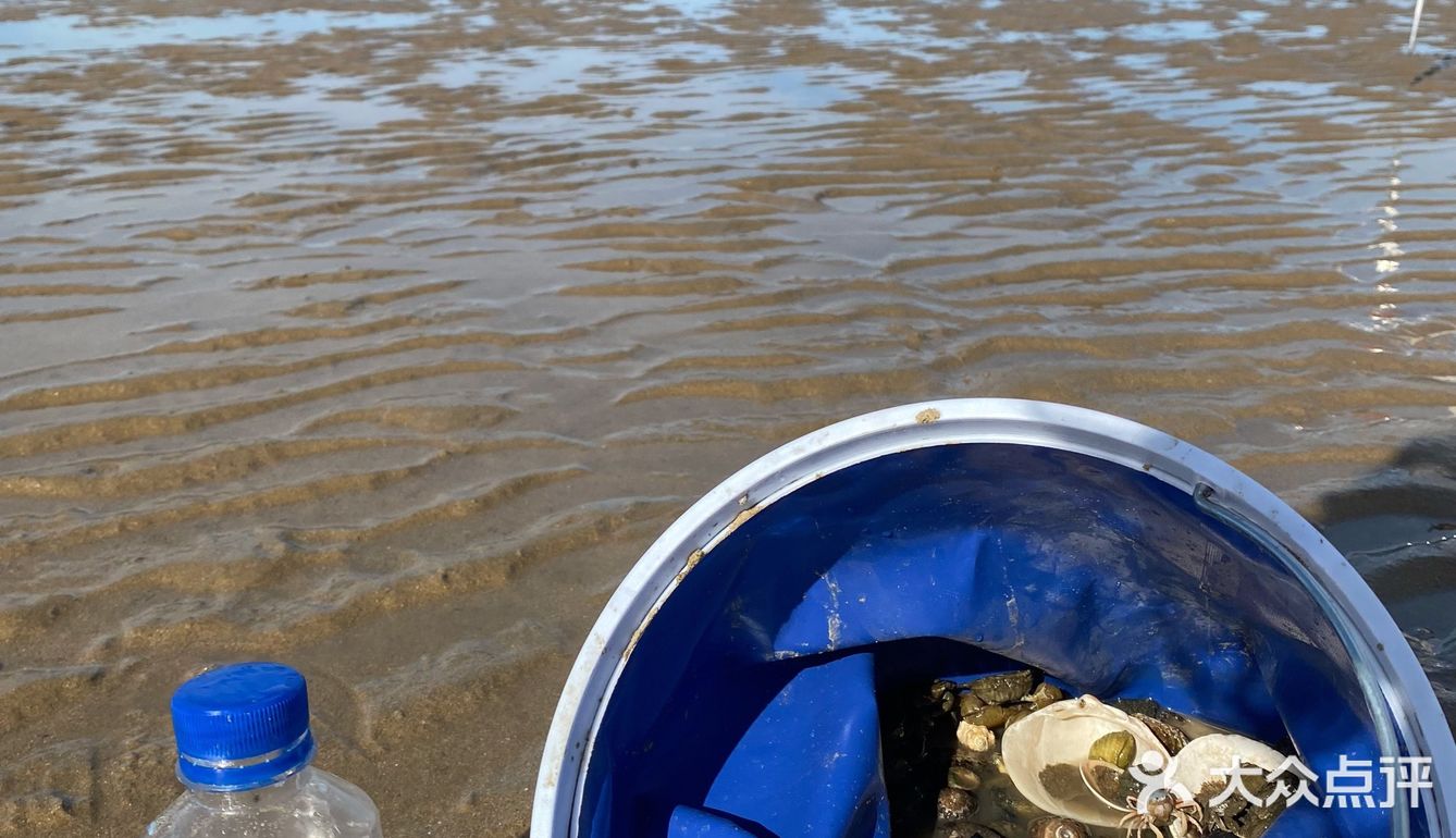 平潭赶海🌊小海鲜统统带回家啦！