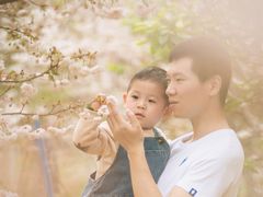 -天适樱花悠乐园