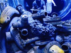 -成都浩海立方海洋公园