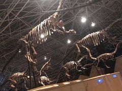 -世界恐龙谷景区