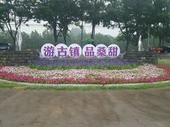 -御林古桑园