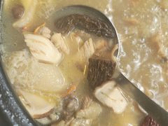 -蘑统田下·野生菌火锅