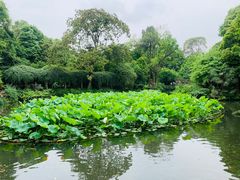 -成都杜甫草堂博物馆