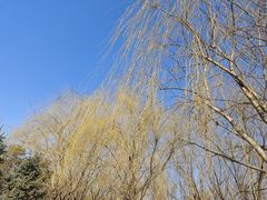 -长春公园(普阳街道)