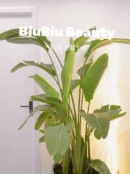 -BiuBiu Beauty·肌肤管理