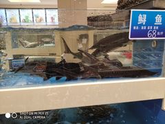 -双井轩(双井店)