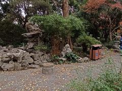 -上海醉白池公园