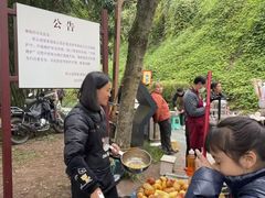 -重庆彩云湖湿地公园