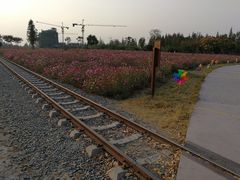 -歌斐颂巧克力小镇