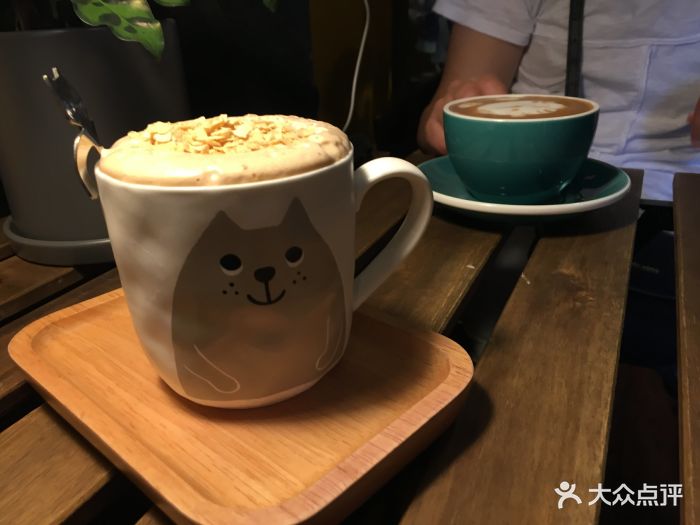 北海猫咖图片 - 第3张