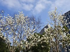 -无锡市市民中心