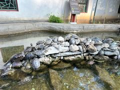 -红螺寺