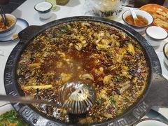-大江美蛙鱼火锅(都江堰店)