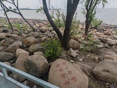 -吴淞炮台湾湿地森林公园烧烤区