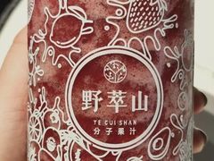 -野萃山·潮汕厚果汁(十亩地店)