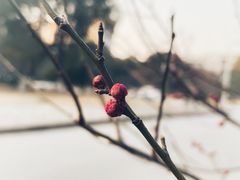 -江南大学(蠡湖校区)