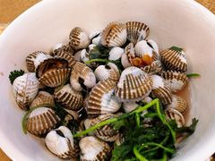 血蛤-揭阳钟记小食(福田新村店)