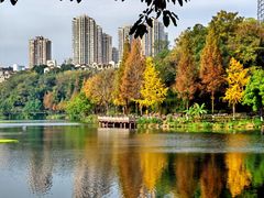 -重庆彩云湖湿地公园