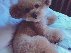 -骐奇宠物诊疗中心(南亭公路店)