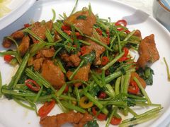 香菜牛肉-清真·宁夏印象·盐池滩羊肉体验店(江宁路店)