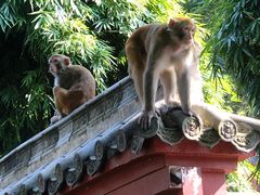 -黔灵山公园