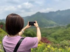 -鲁山国家森林公园