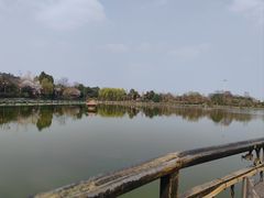 -马帮寨院坝火锅(龙港公园店)