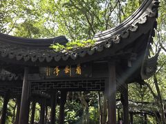 -上海佘山国家森林公园天马山园