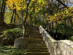 -北京上方山国家森林公园