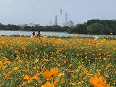 -海珠湖公园