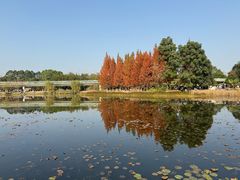 -白鹭湾湿地公园