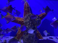 -海合安青岛极地海洋公园