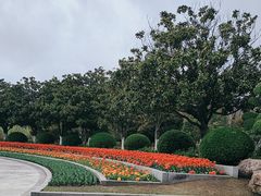 -上海鲜花港