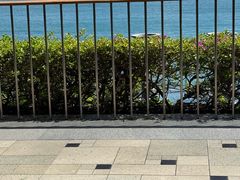 -日落吧·海景咖啡厅·餐酒吧·鸡尾酒·下午茶·乐队表演·浪漫夕阳·三亚文华东方酒店