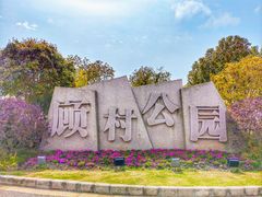 -顾村公园