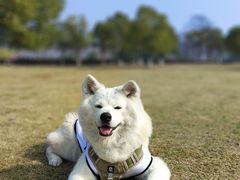 -钟山体育运动公园