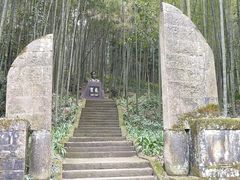 -缙云山景区